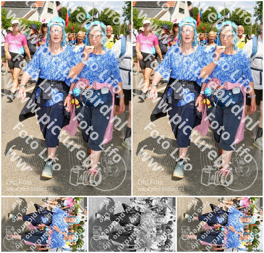 Evenement foto: Nijmeegse Vierdaagse 1006