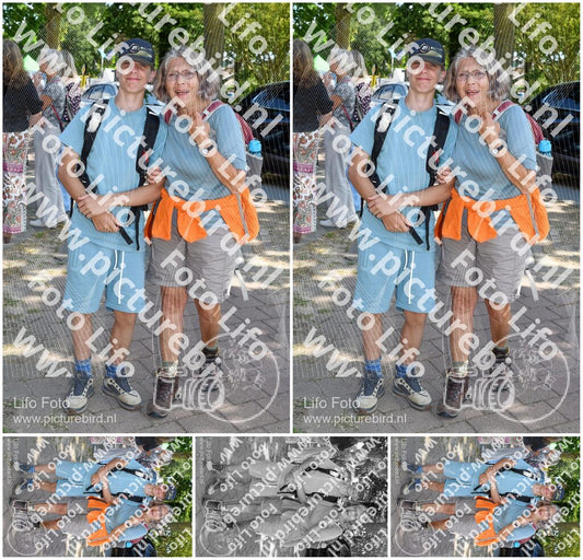 Evenement foto: Nijmeegse Vierdaagse 1005