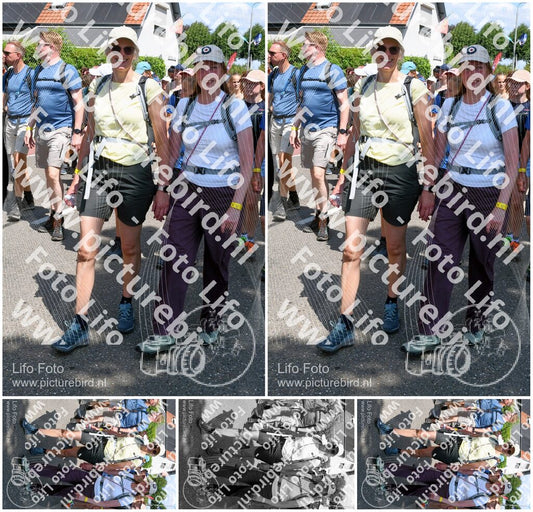Evenement foto: Nijmeegse Vierdaagse 1005