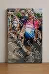Evenement foto: Nijmeegse Vierdaagse 1005