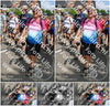 Evenement foto: Nijmeegse Vierdaagse 1005