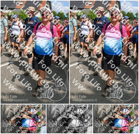 Evenement foto: Nijmeegse Vierdaagse 1005