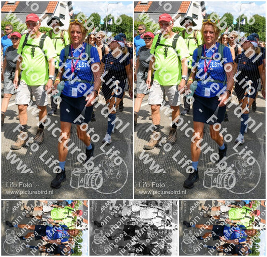 Evenement foto: Nijmeegse Vierdaagse 1005