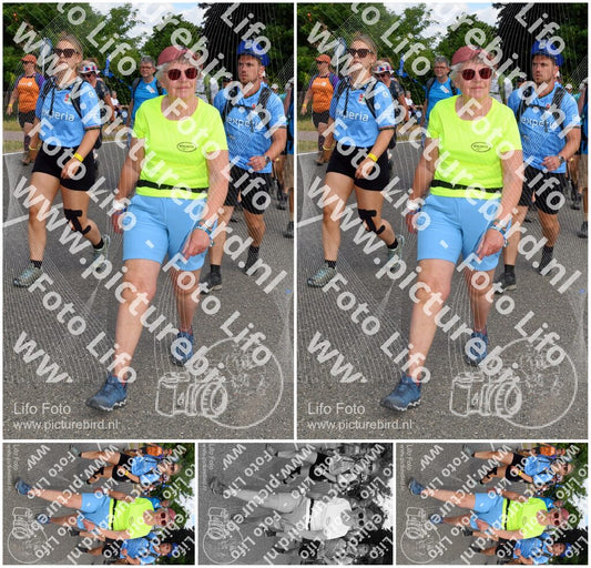 Evenement foto: Nijmeegse Vierdaagse 1003