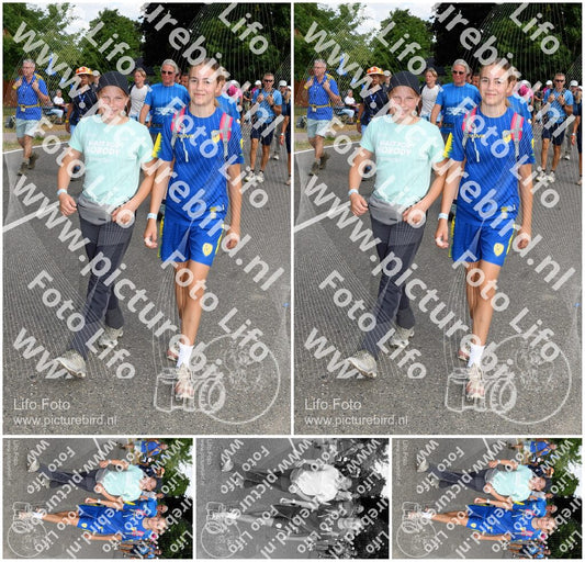 Evenement foto: Nijmeegse Vierdaagse 1003