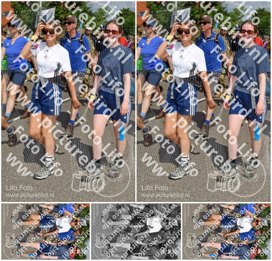Evenement foto: Nijmeegse Vierdaagse 1003