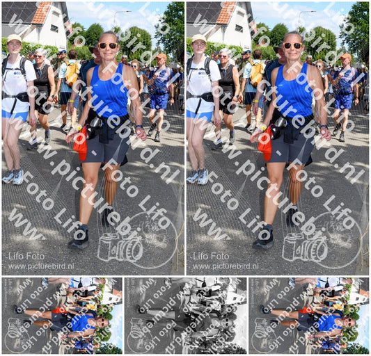Evenement foto: Nijmeegse Vierdaagse 1003