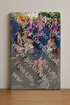 Evenement foto: Nijmeegse Vierdaagse 1002