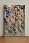 Evenement foto: Nijmeegse Vierdaagse 1002