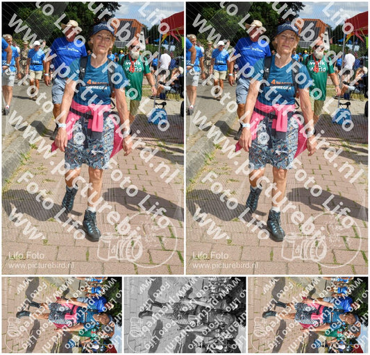 Evenement foto: Nijmeegse Vierdaagse 1002