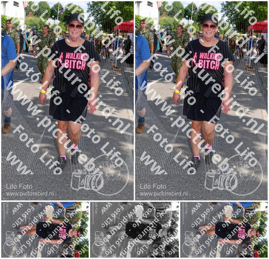 Evenement foto: Nijmeegse Vierdaagse 1001