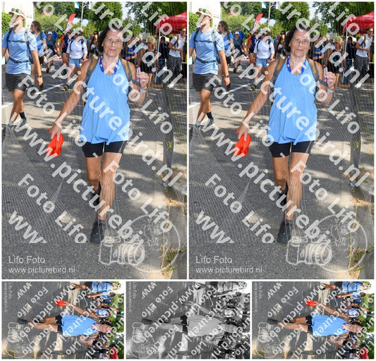 Evenement foto: Nijmeegse Vierdaagse 1001