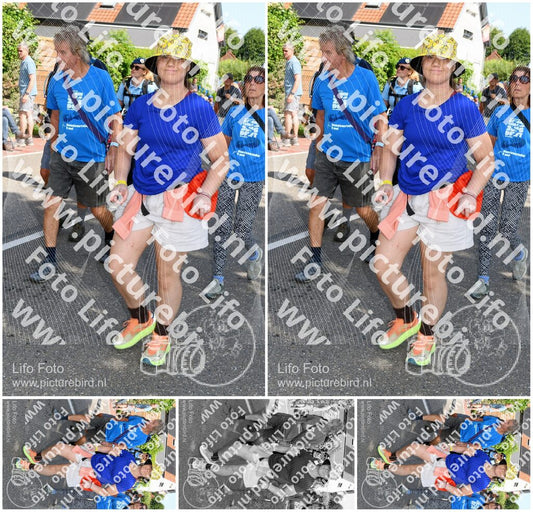 Evenement foto: Nijmeegse Vierdaagse 1001