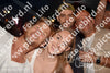 Evenement foto: Nijmeegse Vierdaagse 662