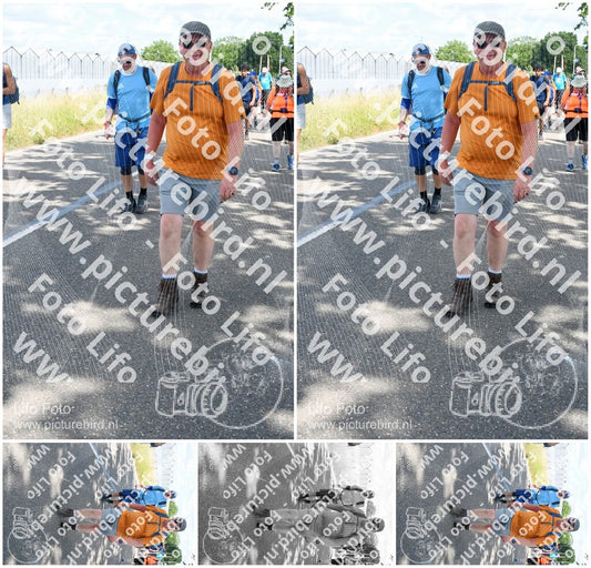 Evenement foto: Nijmeegse Vierdaagse 660