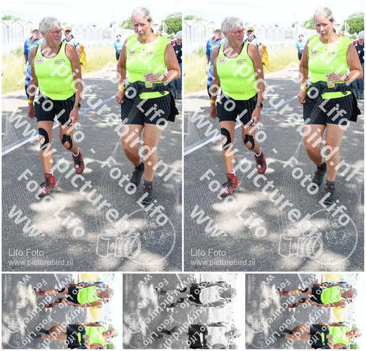 Evenement foto: Nijmeegse Vierdaagse 660