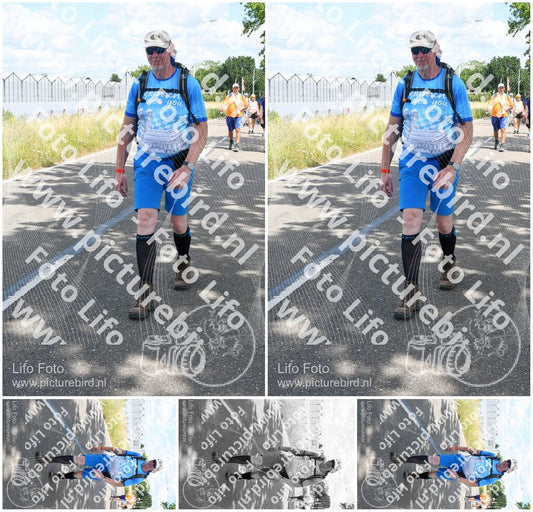 Evenement foto: Nijmeegse Vierdaagse 660