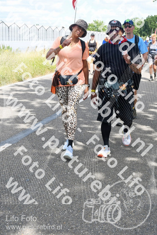 Evenement foto: Nijmeegse Vierdaagse 660