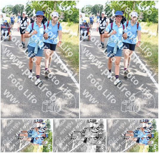 Evenement foto: Nijmeegse Vierdaagse 660