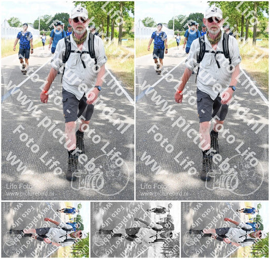 Evenement foto: Nijmeegse Vierdaagse 660