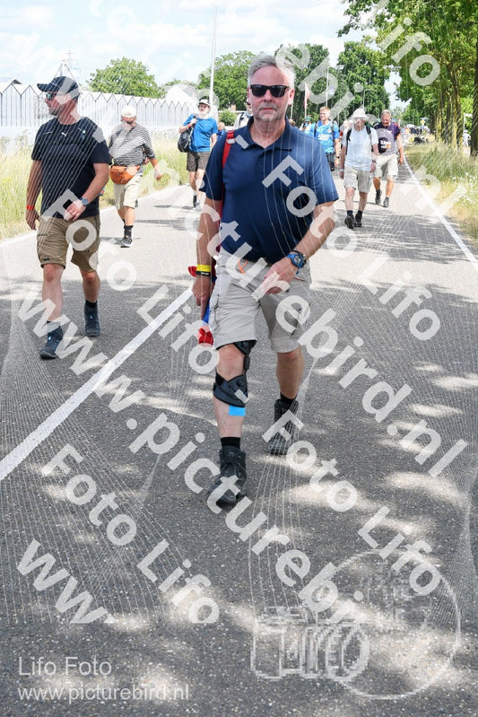 Evenement foto: Nijmeegse Vierdaagse 660