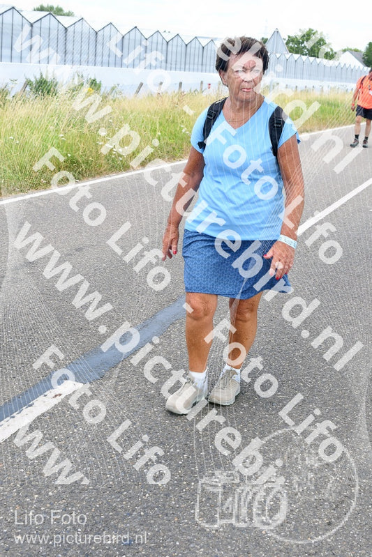 Evenement foto: Nijmeegse Vierdaagse 660