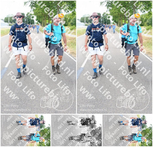 Evenement foto: Nijmeegse Vierdaagse 660