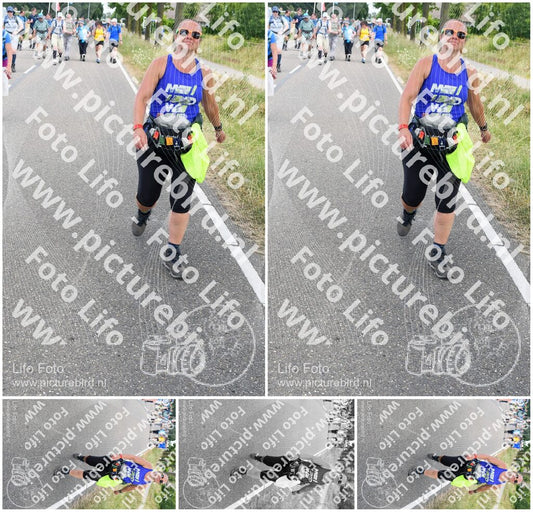 Evenement foto: Nijmeegse Vierdaagse 660
