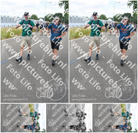 Evenement foto: Nijmeegse Vierdaagse 660