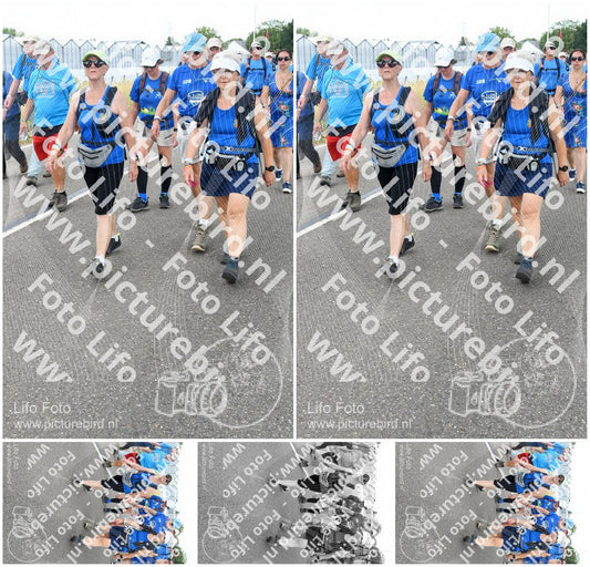 Evenement foto: Nijmeegse Vierdaagse 659