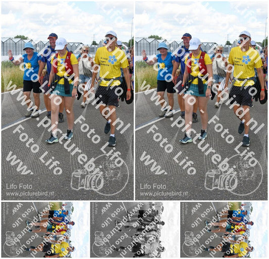 Evenement foto: Nijmeegse Vierdaagse 659