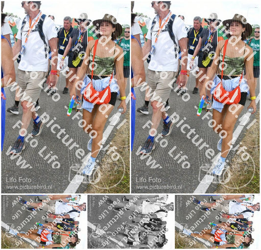 Evenement foto: Nijmeegse Vierdaagse 659