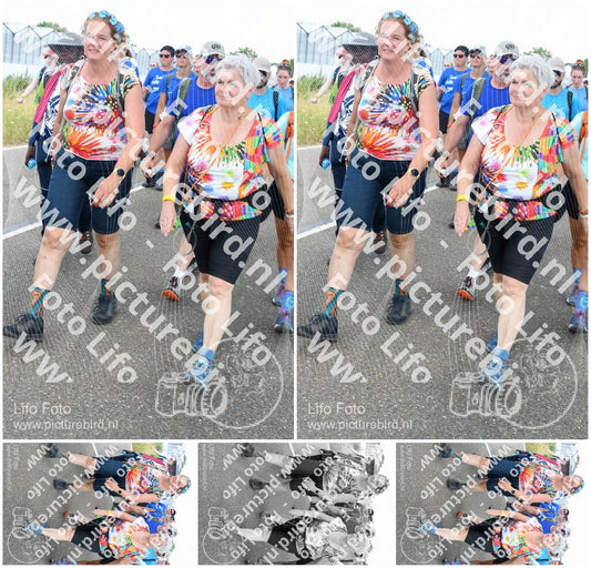 Evenement foto: Nijmeegse Vierdaagse 659