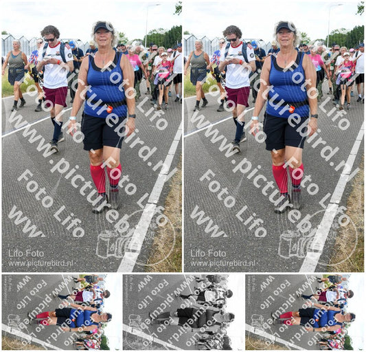 Evenement foto: Nijmeegse Vierdaagse 659