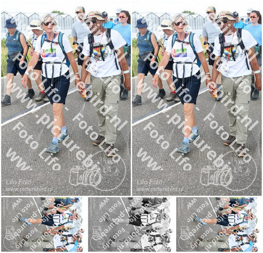 Evenement foto: Nijmeegse Vierdaagse 659
