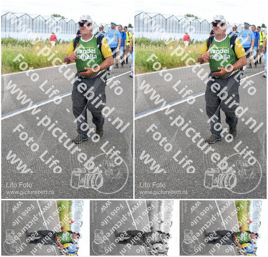 Evenement foto: Nijmeegse Vierdaagse 659