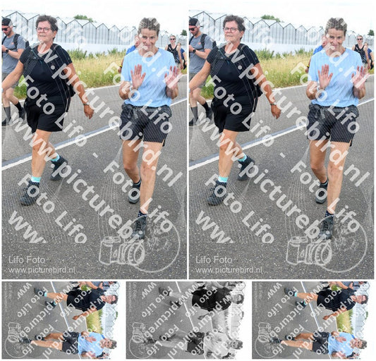 Evenement foto: Nijmeegse Vierdaagse 659
