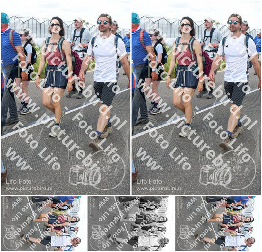 Evenement foto: Nijmeegse Vierdaagse 659