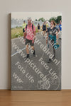 Evenement foto: Nijmeegse Vierdaagse 659