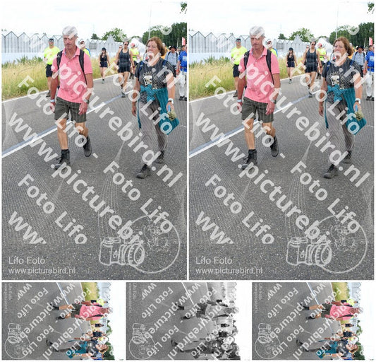 Evenement foto: Nijmeegse Vierdaagse 659