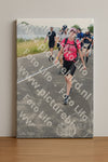 Evenement foto: Nijmeegse Vierdaagse 659
