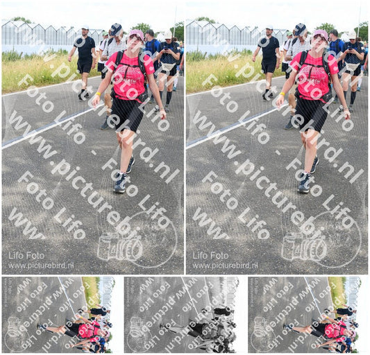 Evenement foto: Nijmeegse Vierdaagse 659