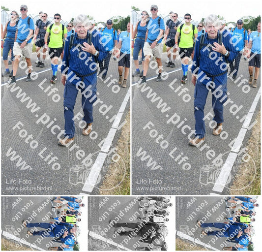 Evenement foto: Nijmeegse Vierdaagse 659