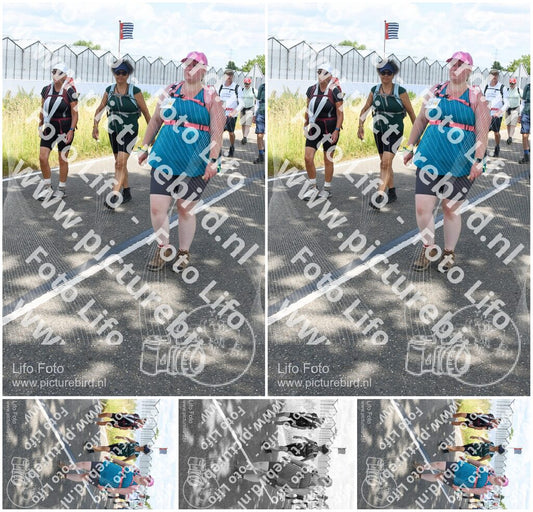 Evenement foto: Nijmeegse Vierdaagse 659