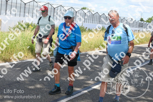 Evenement foto: Nijmeegse Vierdaagse 659