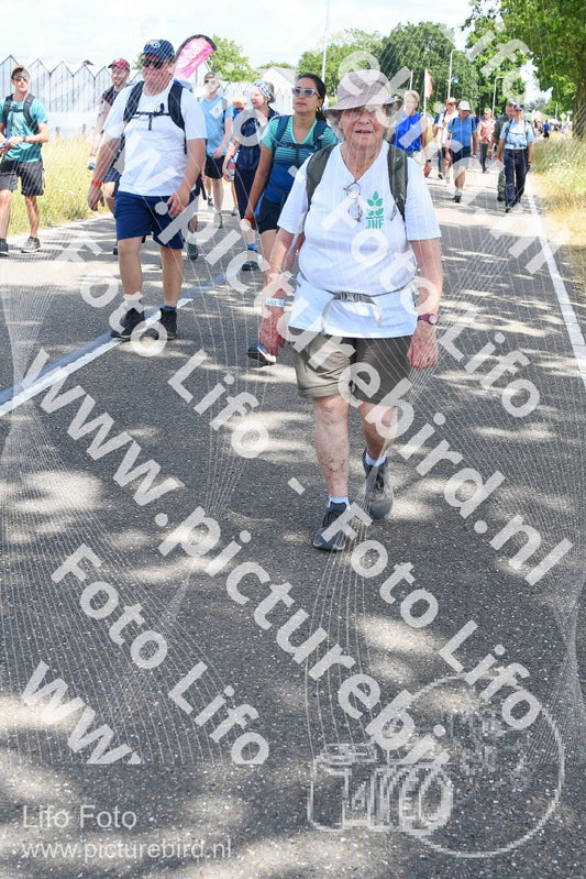 Evenement foto: Nijmeegse Vierdaagse 659