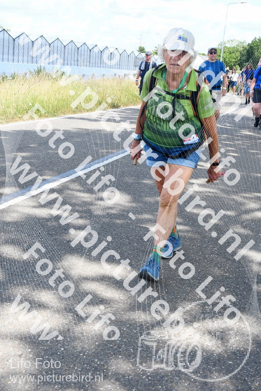 Evenement foto: Nijmeegse Vierdaagse 659