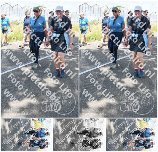 Evenement foto: Nijmeegse Vierdaagse 659