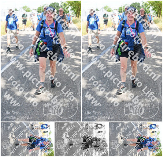 Evenement foto: Nijmeegse Vierdaagse 659