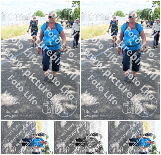 Evenement foto: Nijmeegse Vierdaagse 659